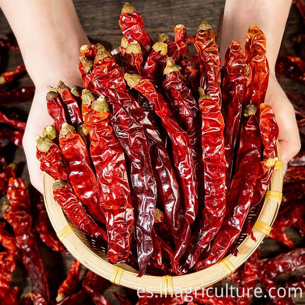 Sichuan Long Chili Price